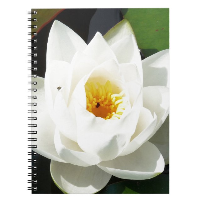 Cuaderno Impresionante Waterlily Con Centro De Oro (Frente)