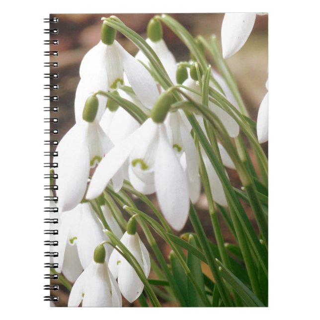Cuaderno Impresionantes Snowdrop (Frente)