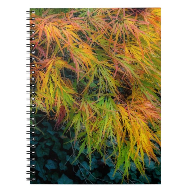 Cuaderno Impresiones de otoño de arce japonesas (Frente)