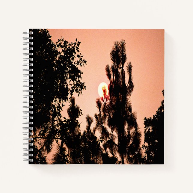 Cuaderno Incendio en el Valle de la India......... (Anverso)