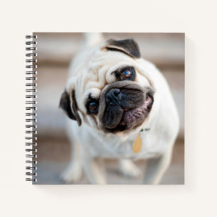 Cuaderno Inclinación de la cabeza de la bomba