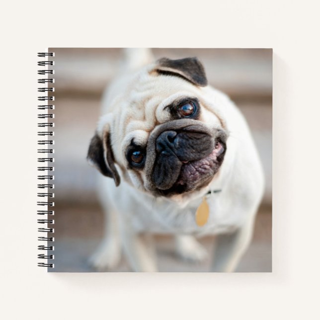 Cuaderno Inclinación de la cabeza de la bomba (Anverso)