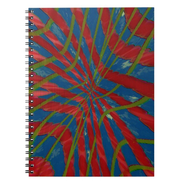 Cuaderno Incorrecto (Frente)