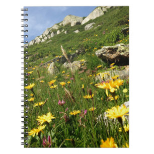 Cuaderno ¡Increíble! Flores alpinas