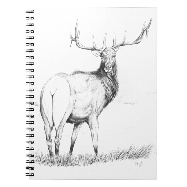 Cuaderno Indecisión (Frente)