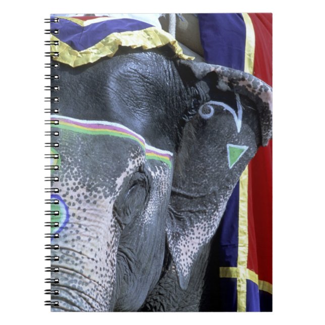 Cuaderno India, Rajastán, Jaipur. Amber Fort. (Frente)