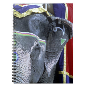 Cuaderno India, Rajasthan, Jaipur. Fuerte Amber.