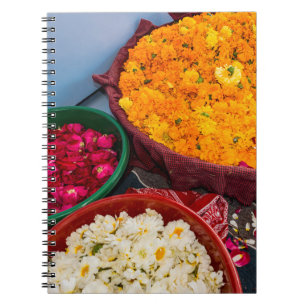 Cuaderno India, Rajasthan, Pipar