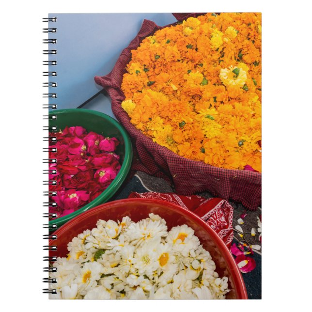 Cuaderno India, Rajasthan, Pipar (Frente)
