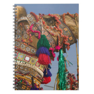 Cuaderno INDIA, Rajasthan, Pushkar: FERIA DE CAMELLOS DE PU