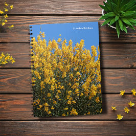 Cuaderno Indigo amarillo falso / Índigo silvestre / Alga do