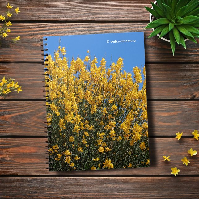 Cuaderno Indigo amarillo falso / Índigo silvestre / Alga do (Yellow False Indigo Journal Cover Photo)