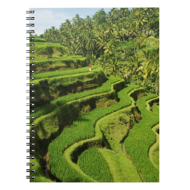 Cuaderno Indonesia, Bali | Rice Paddies (Frente)