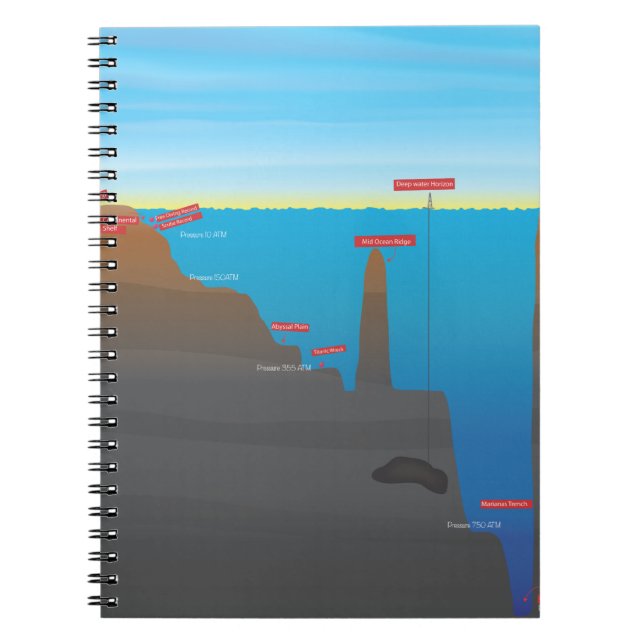 Cuaderno infográfico (Frente)