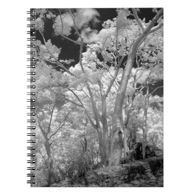 Cuaderno Infrarrojo de árboles edificios y senderos en Las  (Frente)