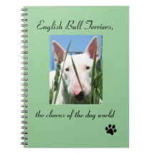 Inglés bull terrier los payasos del mundo del
