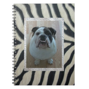 Cuaderno inglés del bulldog de la cebra
