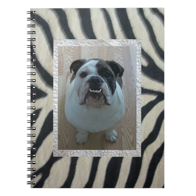 Cuaderno inglés del bulldog de la cebra (Frente)