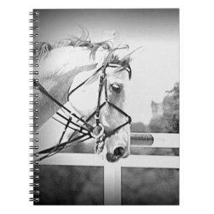Cuaderno inglés del caballo