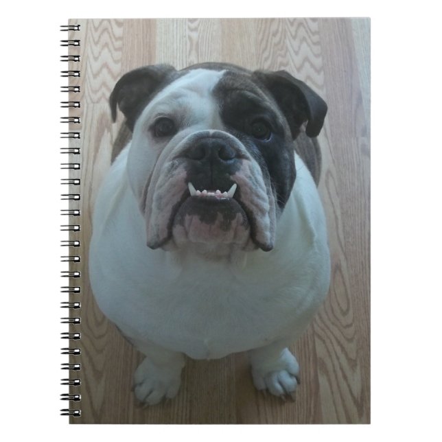 Cuaderno inglés del perrito del bulldog (Frente)