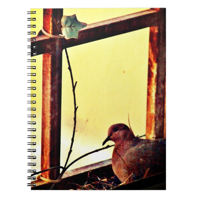 Cuaderno Innocent Dove (Frente)