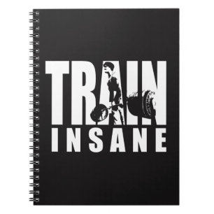 Cuaderno INSANCIA DE TREN - LIBERACIÓN - Motivación del ent