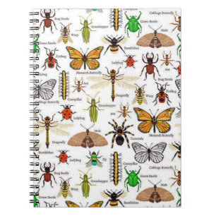 Cuaderno Insectos