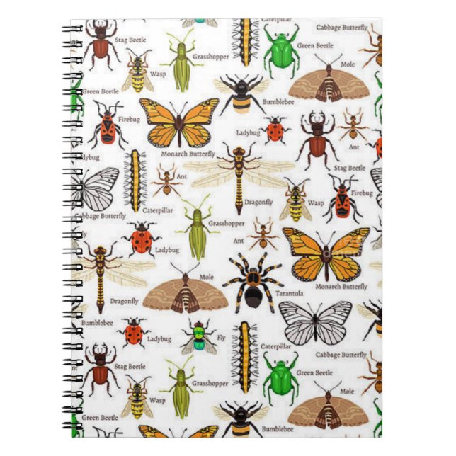 Cuaderno Insectos (Frente)