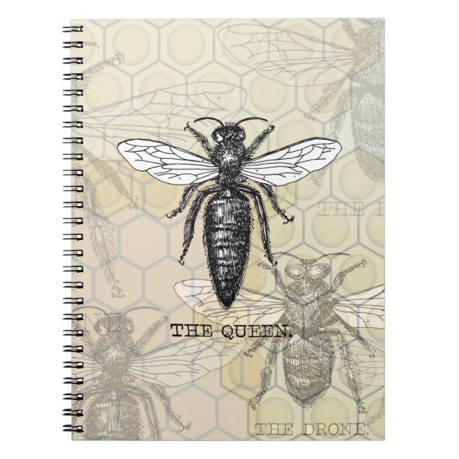 Cuaderno Insectos de error de Ilustracion de abeja de reina (Frente)