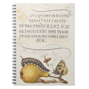 Cuaderno Insectos de jardín, Mosca, Oruga, Pera, Ciempiés