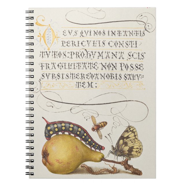 Cuaderno Insectos de jardín, Mosca, Oruga, Pera, Ciempiés (Frente)