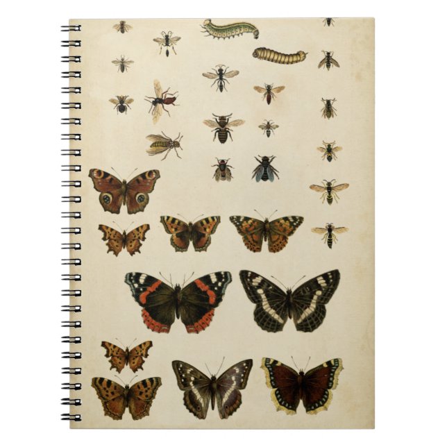 Cuaderno Insectos de jardín por Vision Studio (Frente)