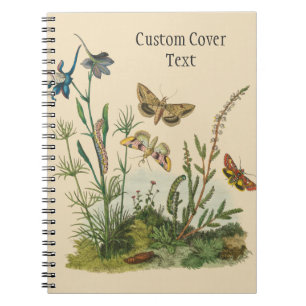 Cuaderno Insectos de jardín vintage, mariposas, orugas