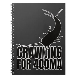Cuaderno Insectos primitivos silverfish - Geek de la Entomo