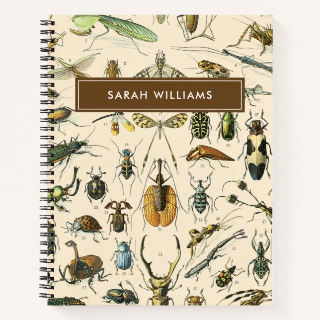 Cuaderno Insectos vintage (Anverso)