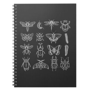 Cuaderno Insects Funny Entomologist Bug Catcher Entomology