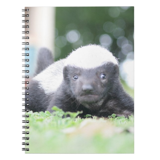 Cuaderno Insignia de miel de bebé en fotografía de hierba v (Frente)