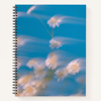 Cuaderno Inspirar sus ideas y objetivos