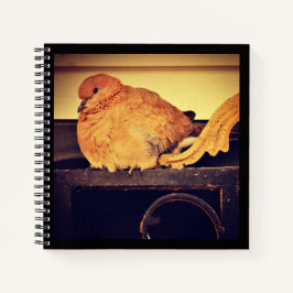 Cuaderno Interferencia