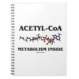 Cuaderno Interior del metabolismo Acetilo-CoA (molécula