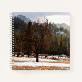 Cuaderno Invierno.....