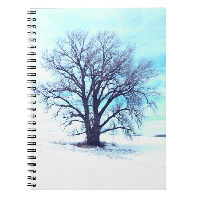 Cuaderno Invierno Azul (Frente)