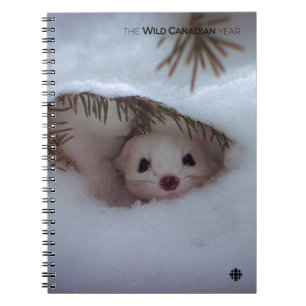 Cuaderno Invierno - Combustible con cola corta