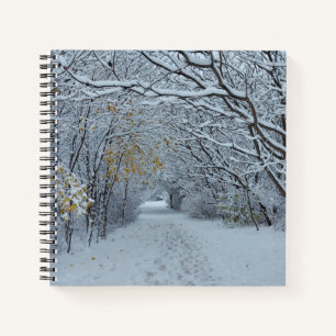 Cuaderno Invierno en Canadá