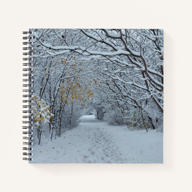 Cuaderno Invierno en Canadá (Anverso)