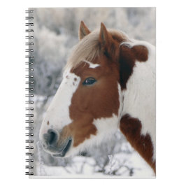 Cuaderno Invierno en la cuenca del lavado de arena