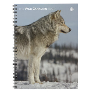 Cuaderno Invierno - Lobo