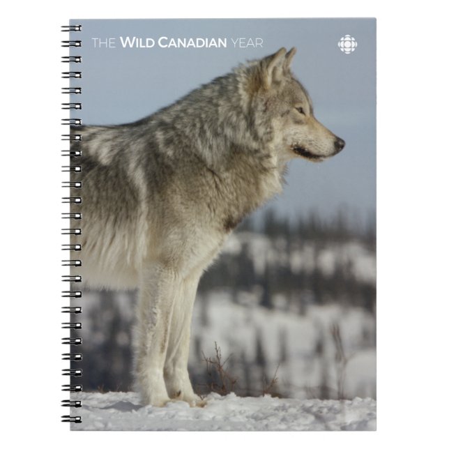 Cuaderno Invierno - Lobo (Frente)