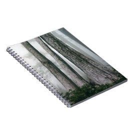 Cuaderno Invocar el bosque
