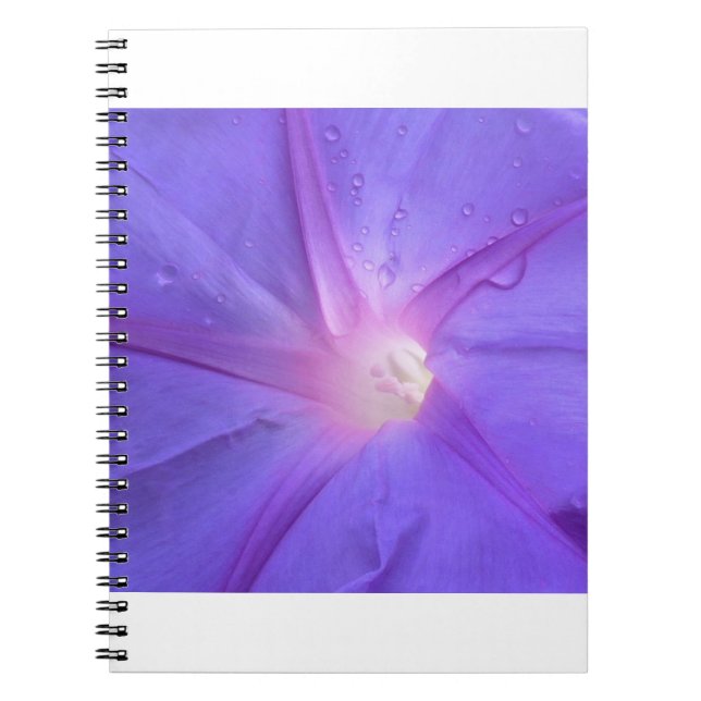 Cuaderno ipomée (Frente)
